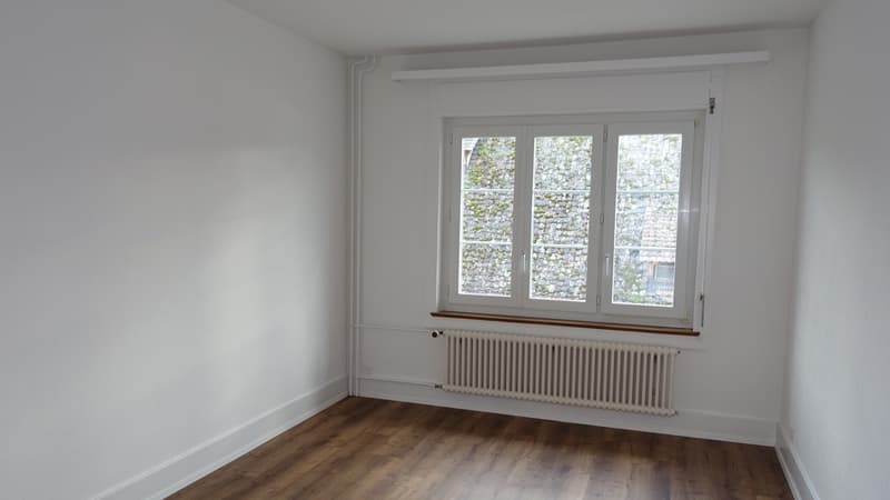 Wohn- und Geschäftshaus an bester Lage in Schaffhausen (6)