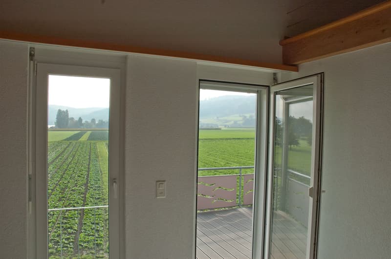 Charmante 5.5-Zimmer-Maisonette-Wohnung mit Seesicht in Eschenz (17)
