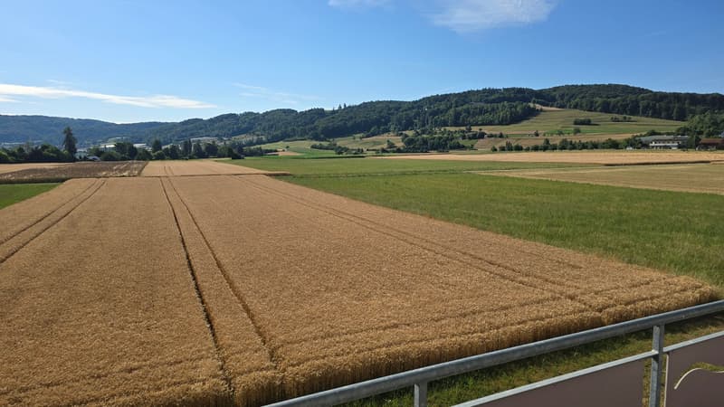 Charmante 5.5-Zimmer-Maisonette-Wohnung mit Seesicht in Eschenz (23)
