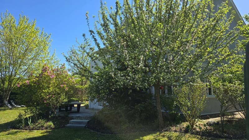 Garten6