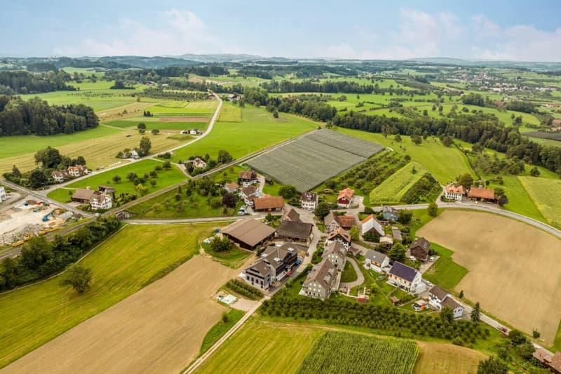 Primo affitto 3.5 locali appartamento in mansarda nuovo (9)
