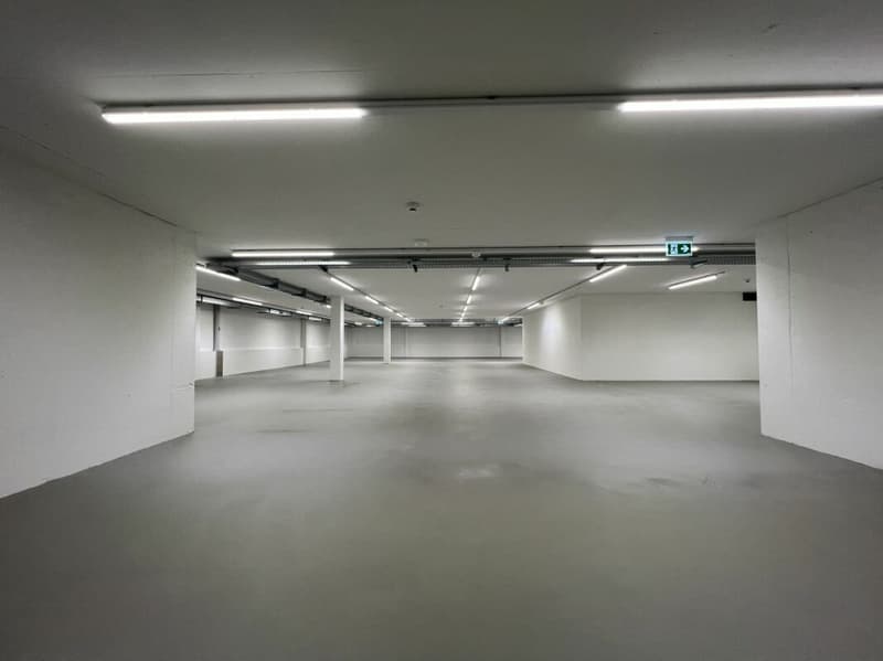 Grande magazzino in importante snodo di traffico (2)