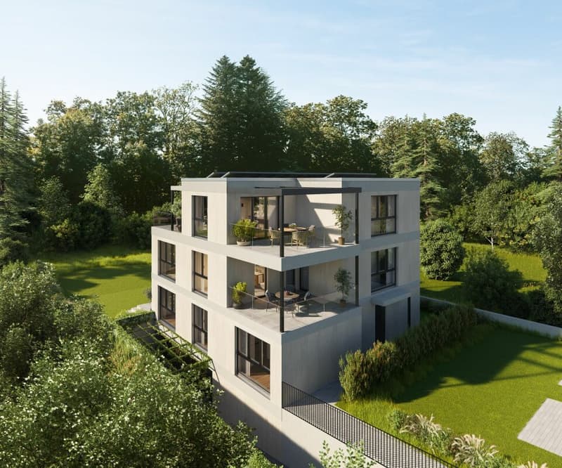 5.5-Zi. Maisonette-Attikawohnung (mit Lift direkt in die Wohnung) (5)