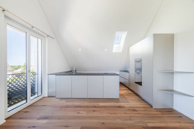 NEUBAU: Dachwohnung mit 4.5-Zimmern und Aussicht ins Grüne (3)