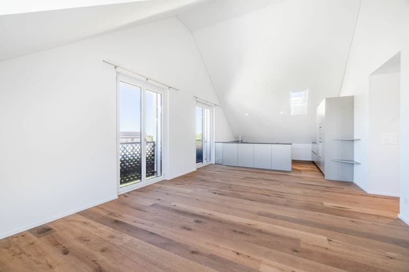 NEUBAU: Dachwohnung mit 4.5-Zimmern und Aussicht ins Grüne (2)