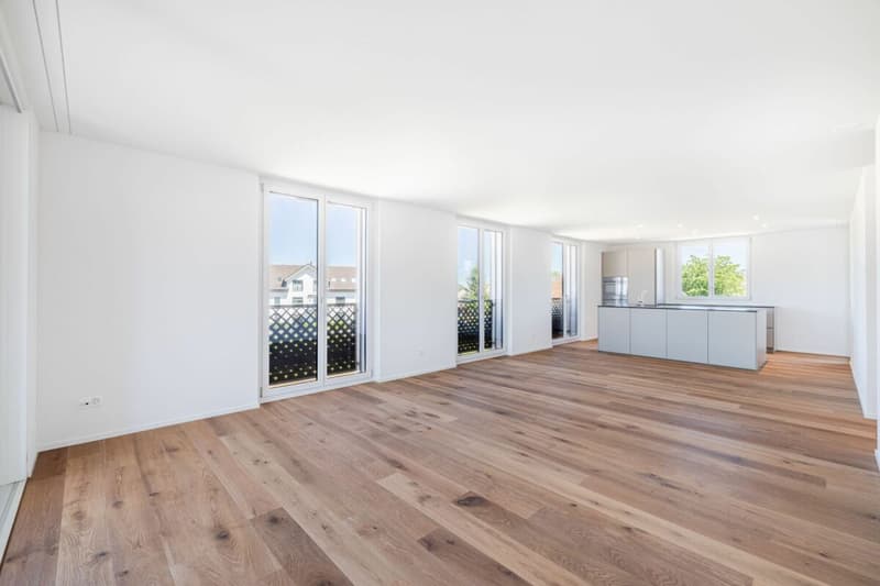 Wohnen mit Komfort: 4.5-Zimmer Neubauwohnung mit sonnigem Balkon (3)