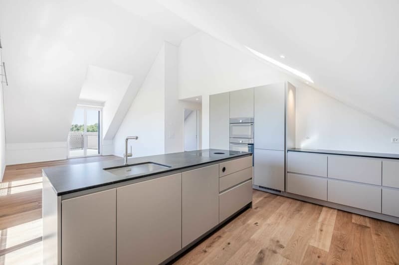 Dachterrasse, Weitsicht und Wohnkomfort: Ihre neue 2.5-Zimmer Traumwohnung mit Blick ins Grüne (2)