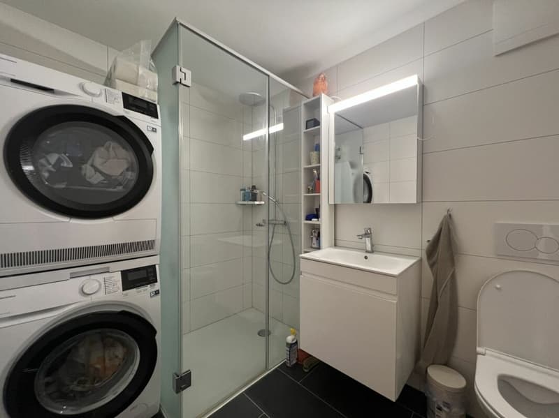 Moderne Wohnung mit Seesicht über den Dächern von Rorschacherberg (6)