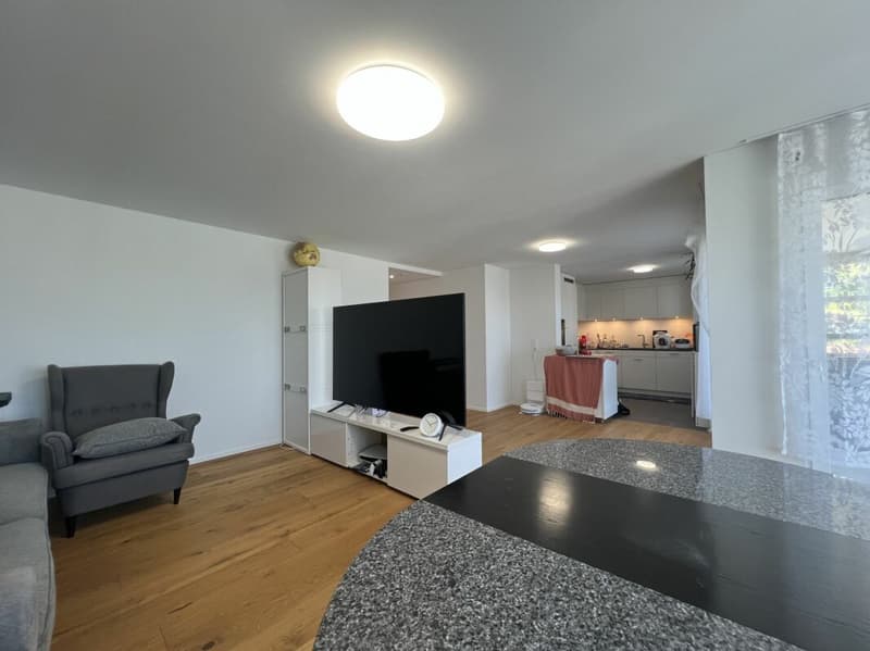 Moderne Wohnung mit Seesicht über den Dächern von Rorschacherberg (5)