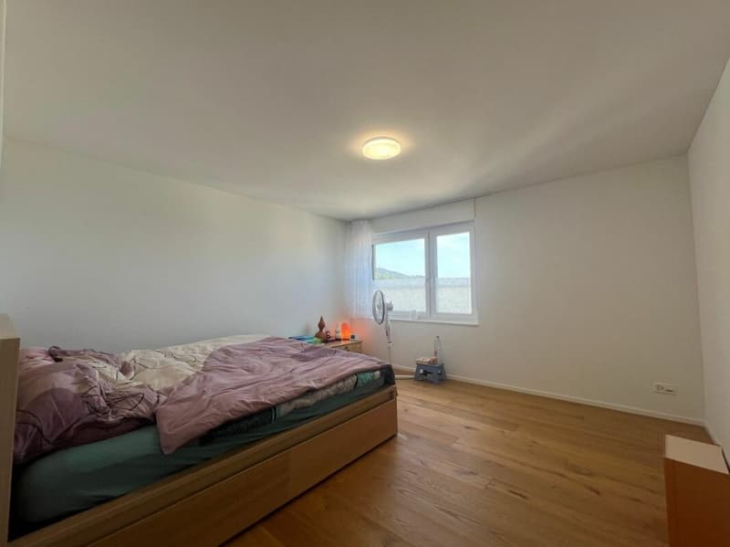 Moderne Wohnung mit Seesicht über den Dächern von Rorschacherberg (8)
