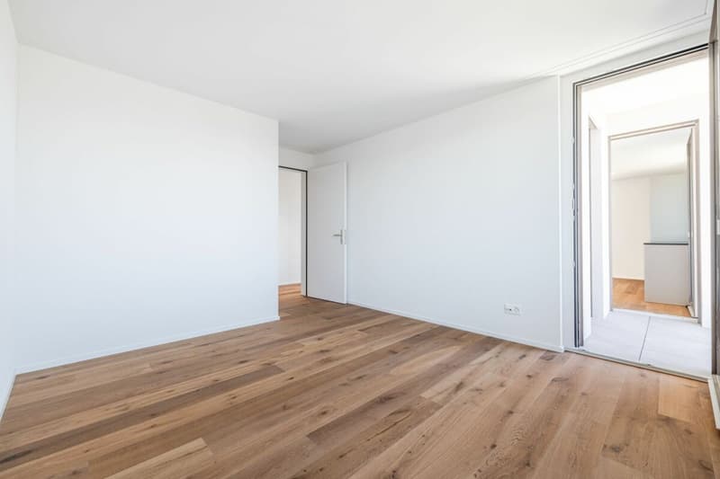 Grosszügig wohnen - attraktive 4.5-Zimmer-Neubauwohnung mit Balkon (6)
