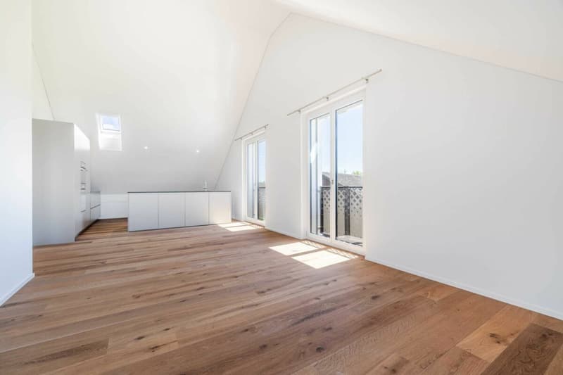 Wohnen mit Weitsicht - attraktive 2.5-Zimmer Neubau Wohnung mit Dachterrasse (3)