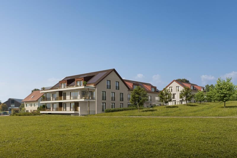ruhige Lage und unverbaubarer Alpsteinblick - Neubau 3.5-Zi. Dachwohnung (4)