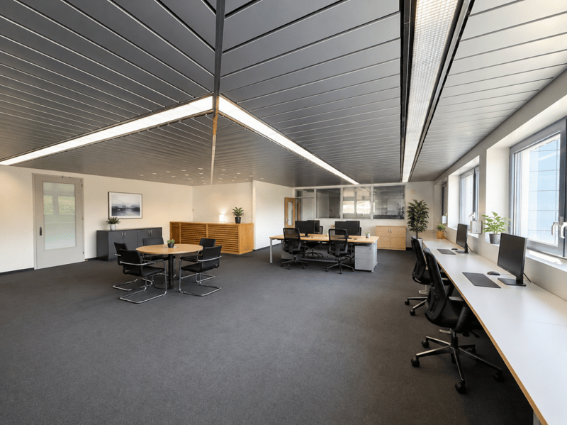 VIELSEITIG NUTZBARE GEWERBERÄUME: BÜRO, HOBBY UND LAGER IN MUOLEN (5)