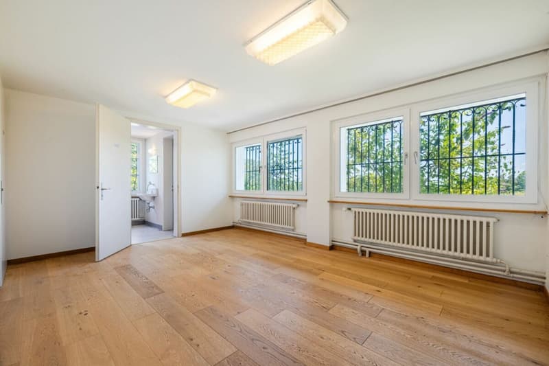 Viel Platz für Familie, Gäste, Kleingewerbe oder Vermietung. Charaktervolles Herrenhaus mit Einliegerwohnung an Aussichtslage sucht neuen Eigentümer, der es renoviert/saniert (7)