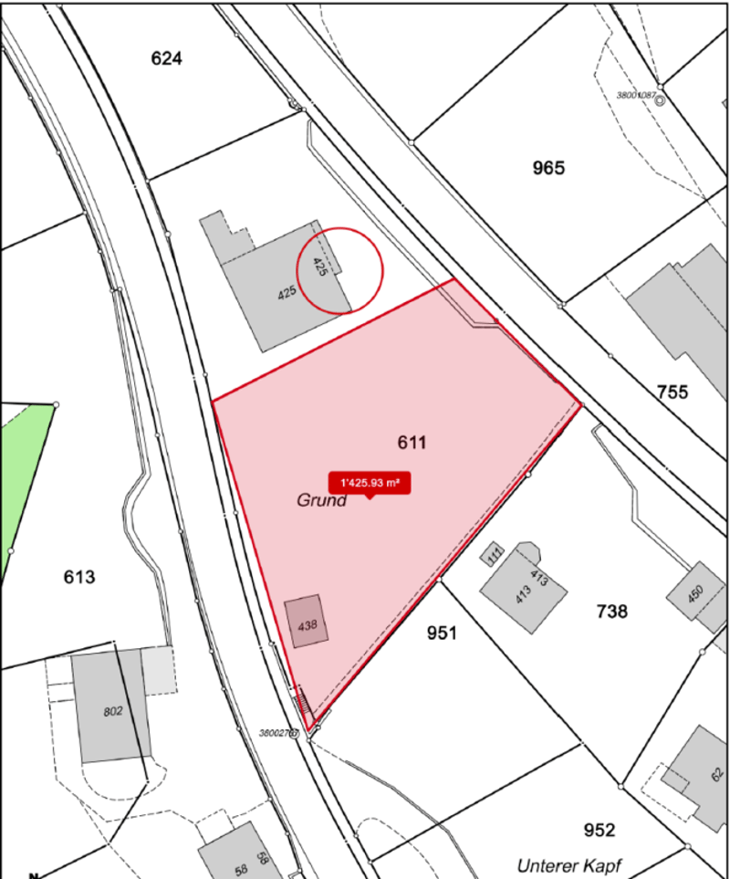 Viel Platz für Familie, Gäste, Kleingewerbe oder Vermietung. Charaktervolles Herrenhaus mit Einliegerwohnung an Aussichtslage sucht neuen Eigentümer, der es renoviert/saniert (3)