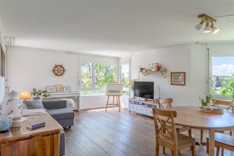 Spacious open-plan living room with large windows offering a scenic view, hardwood floors, gray sofa, wooden dining table and chairs, TV stand, decorative wall accents, and potted plants adding a touch of nature.