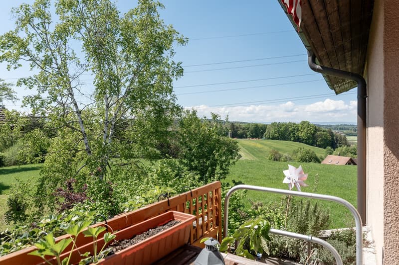 Wooden balcony with a view of a lush green landscape, including trees, fields, and a clear sky with clouds. There is a small pinwheel decoration visible on the balcony railing.