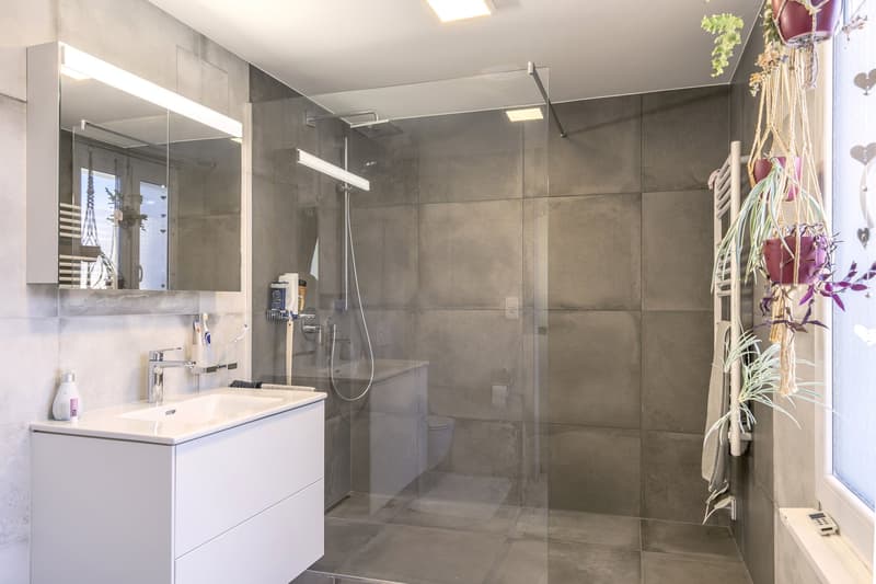 Charmant appartement 4.5 pièces avec balcon à Etziken (14)