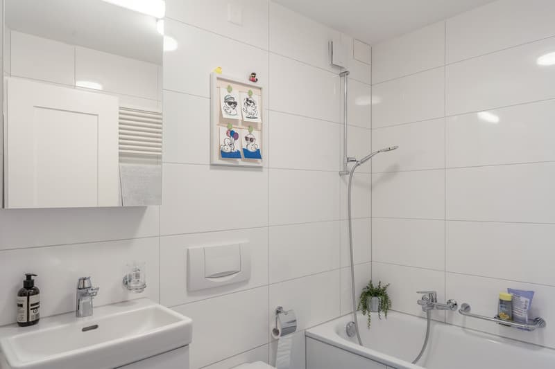 Etziken: Charming 4.5-room apartment with balcony (15)