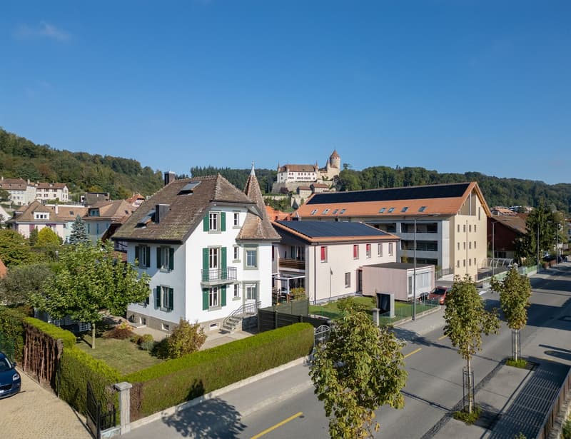 Aerial view of a neighborhood with several houses, one with solar panels on the roof, a castle in the distance, and a clear blue sky.