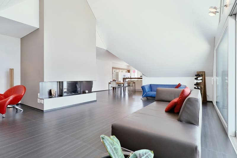 minimalist design, gray leather sofa, blue chair, red accents, fireplace, view of dining area