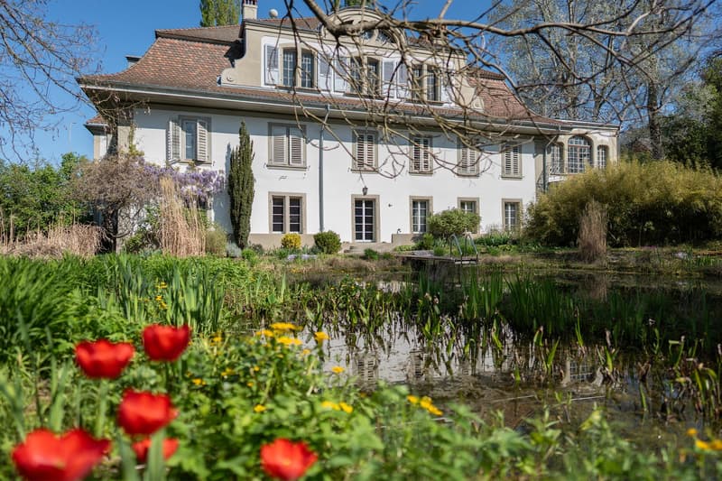 Large white house, brown roof, many windows, garden with pond, red flowers
