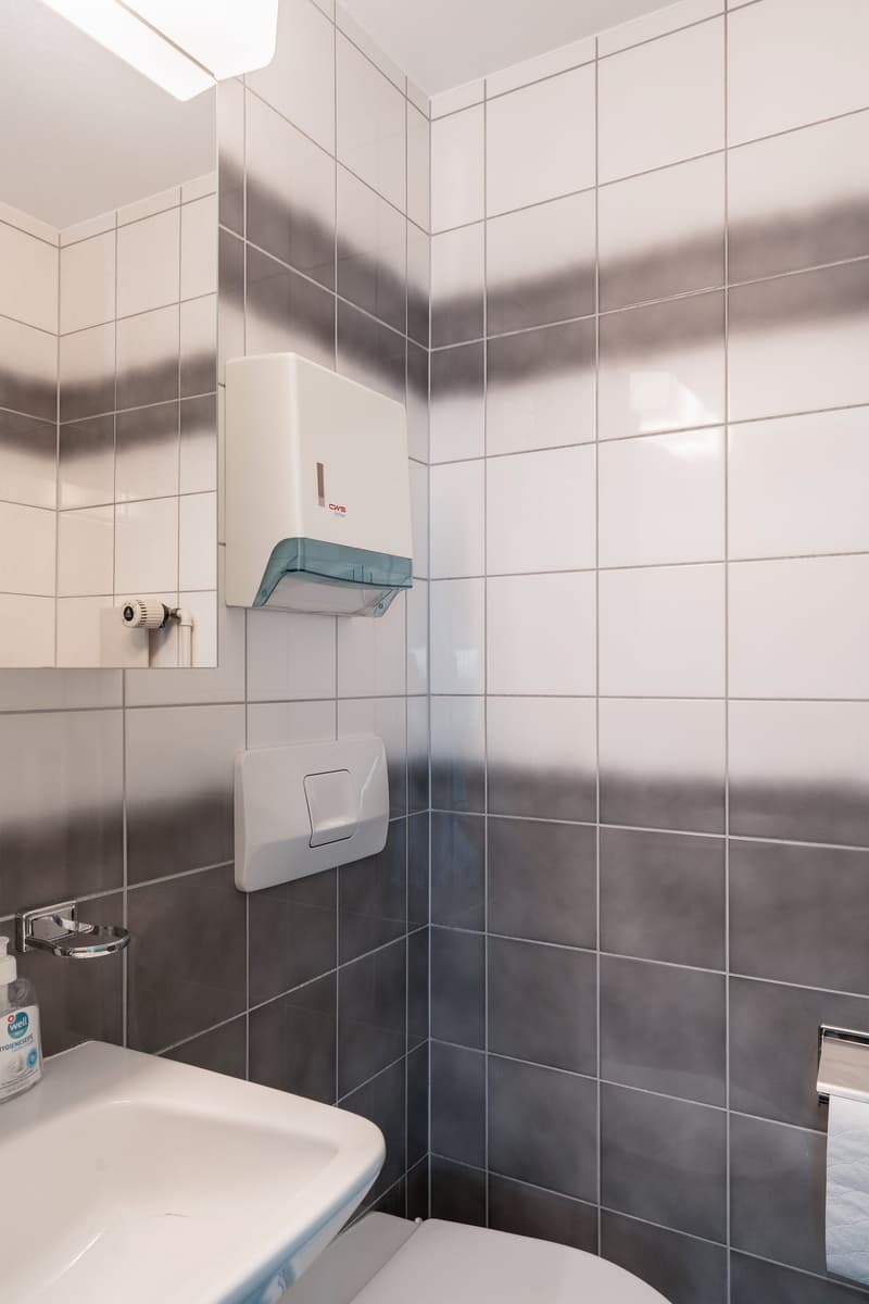 Attraktive Praxis-, Gewerbe-, Büro- oder Wohneinheit im Herzen von Unterseen (10)