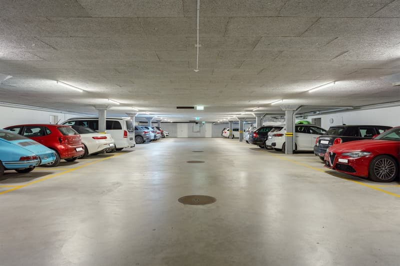 Minergie-Gartenwohnung: Hell, modern, exklusiv (20)