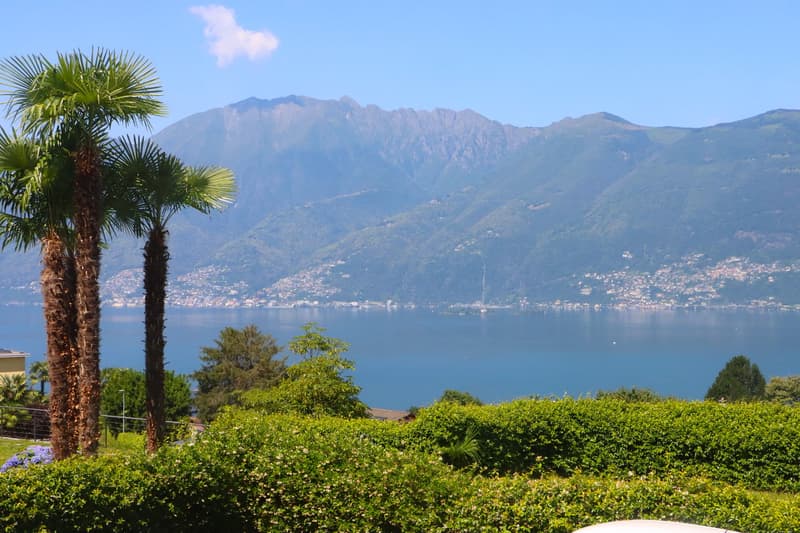 Lake, mountains, palm trees, bushes, distant buildings