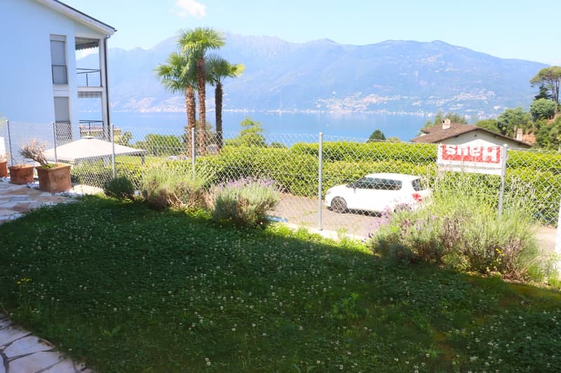 grass, white flowers, white car parked, palm trees, plants, mountains, lake in the background