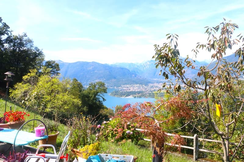 hilltop with plants and trees overlooking lake and town in the distance