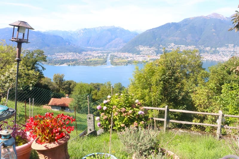 flowers, greenery, wooden fence, mountain view, lake view, clear sky
