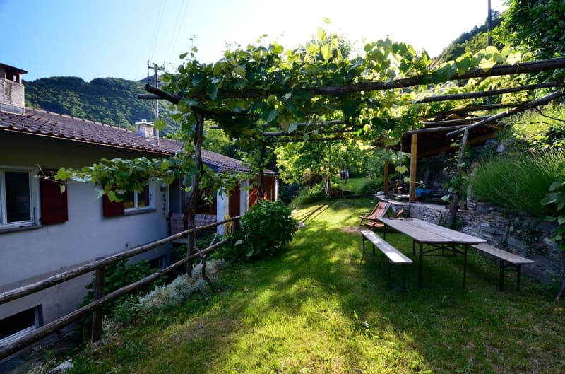 A garden with a wooden table and benches, a wooden fence, and a pergola with vines. The garden is surrounded by a stone wall and has a view of the mountains.
