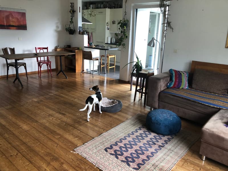 Living room with wooden floor, dining table, chairs, couch, rug, dog bed, open door, kitchen, plants
