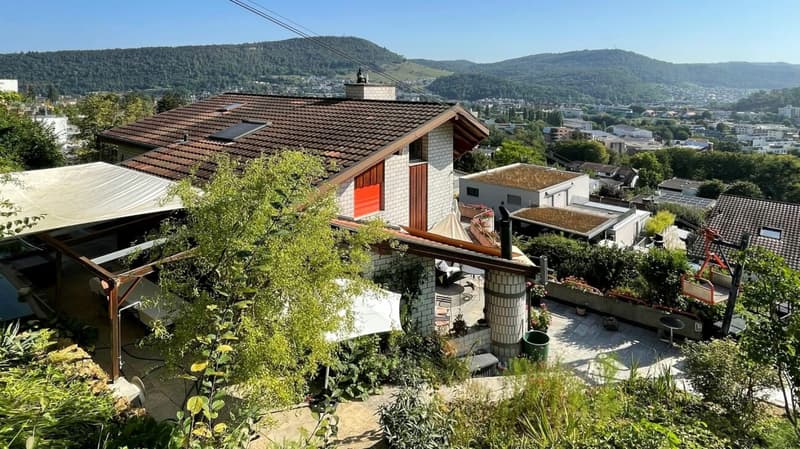 Garten und Terrasse mit Aussencheminée (W2)