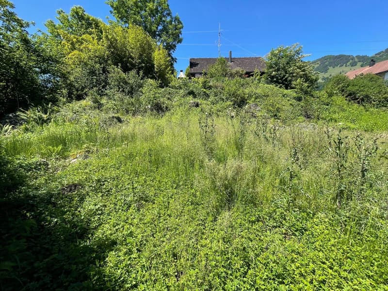 "Bauland mit 352 m² zu verkaufen - Ideal für ein Small House"
