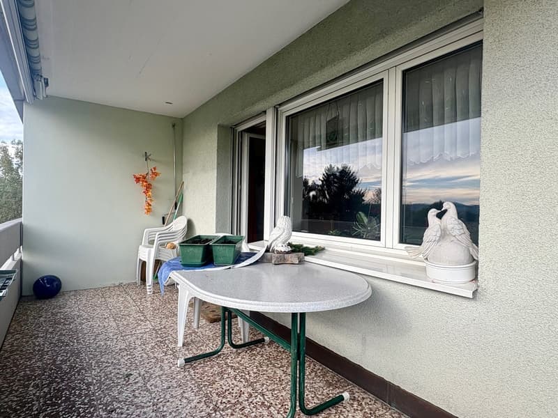 Helle 4,5-Zimmerwohnung im schönen Bischofszell zu verkaufen (9)