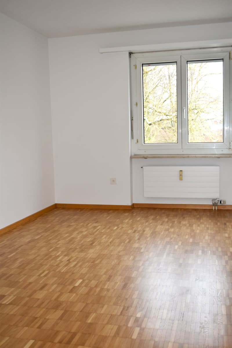 Helle 4,5-Zimmerwohnung im schönen Bischofszell zu verkaufen (5)