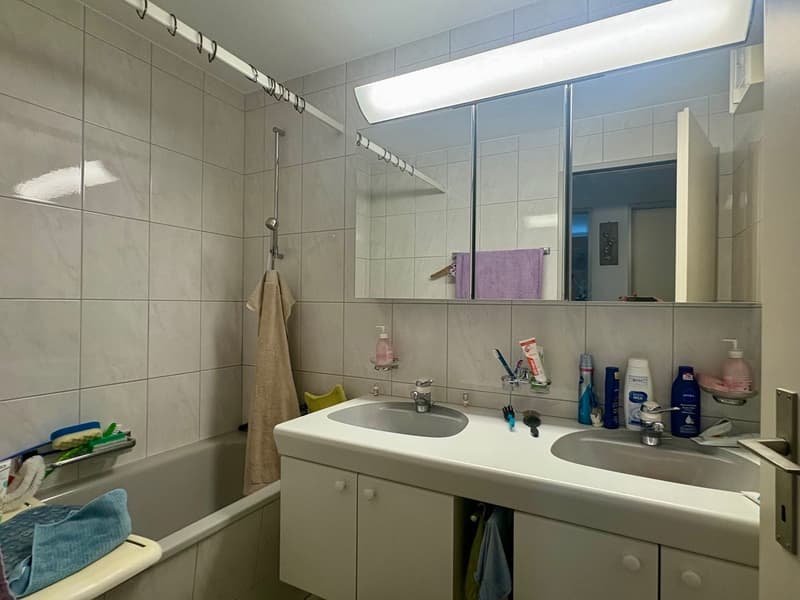 Helle 4,5-Zimmerwohnung im schönen Bischofszell zu verkaufen (8)
