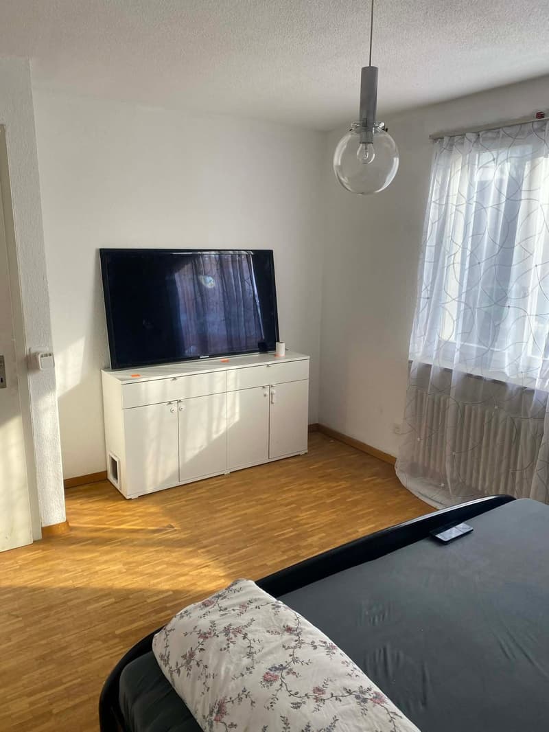 Bedroom with bed, TV, cabinet, and radiator