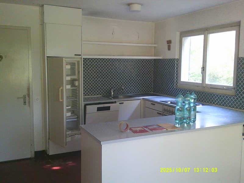 Open layout kitchen with integrated fridge, dishwasher, and washing machine, tiled backsplash, double window, counter, cabinets
