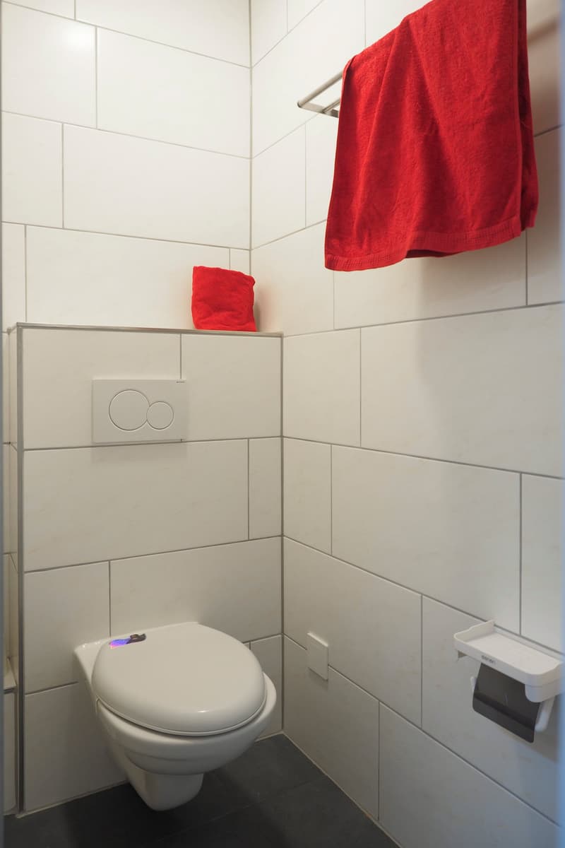 modern white tiled bathroom, toilet bowl, towel rack, and toilet paper holder.