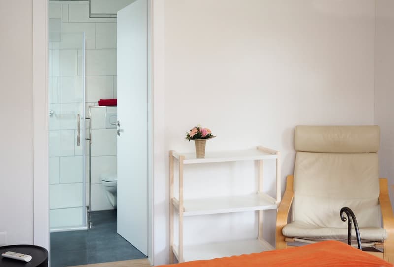 modern room, glass door, white shelf, chair, flowers, bed, toilet, white walls