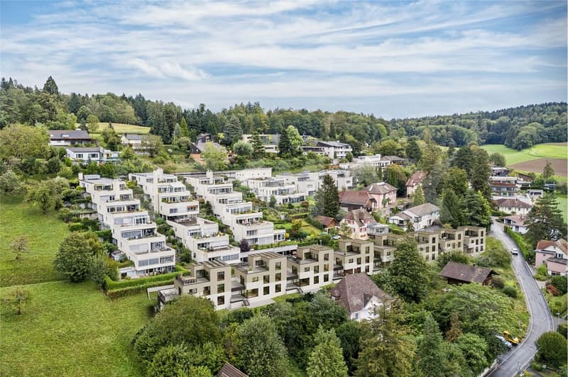 exklusives Minergie-Einfamilienhaus (Haus 5): mit Weitblick, Terrasse und nachhaltiger Bauweise (3)