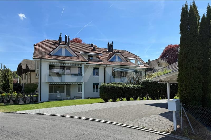Charmante Dachwohnung mit Cheminée und Terrasse in ruhigem Quartier (1)