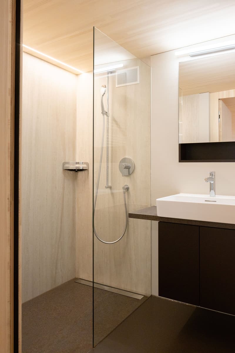 shower area, glass shower door, sink, faucet, wooden wall paneling, mirror, recessed lighting