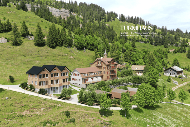 large houses, hillside, surrounded by trees and mountains