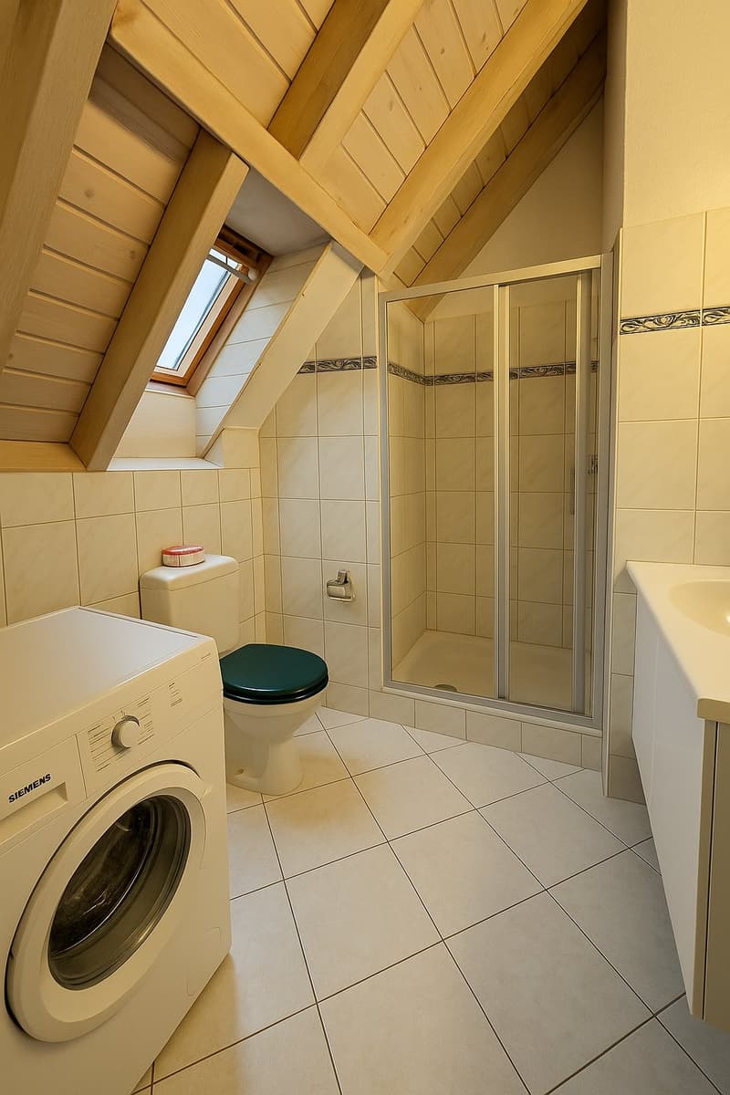 small bathroom, walk-in shower, separate toilet, washing machine, sink, small window