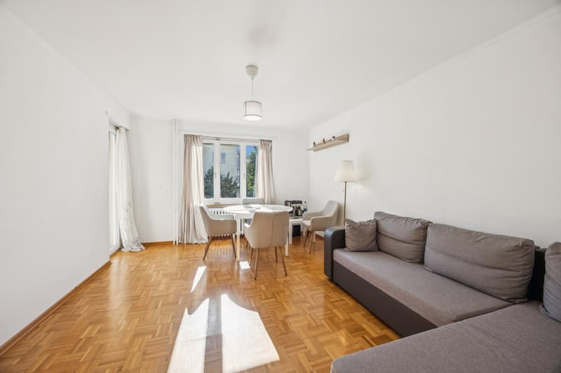 modern interior, white walls, wooden floor, dining table with chairs, window with curtains, sofa